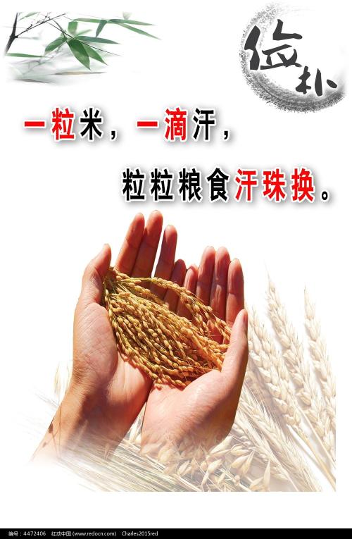 杰克逊维尔大学学历认证